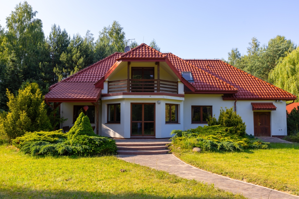 widok z ogrodu