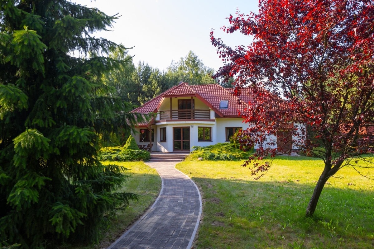 widok z ogrodu