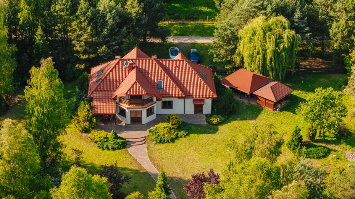 Zdjęcie ogrodu