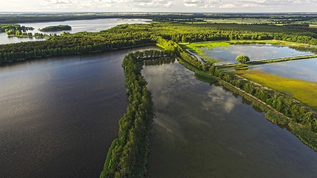 Stawy Milickie – królestwo ptaków i ciszy